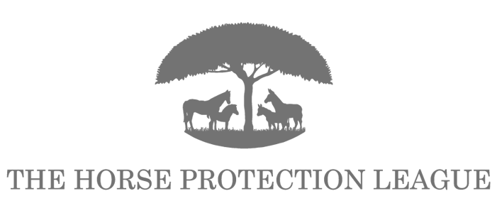 The Horse Protection League