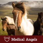 Donate to Medical Angels at The HPL