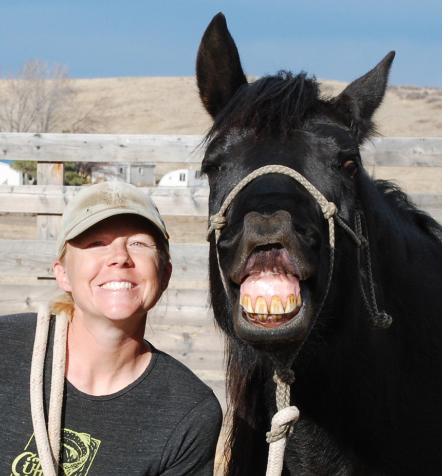 Beyond Riding- Groundwork for Equine Enrichment and Connection.