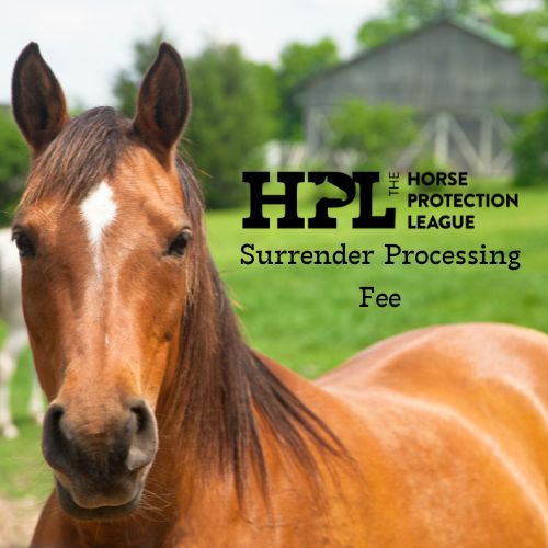 Surrender Processing Fee