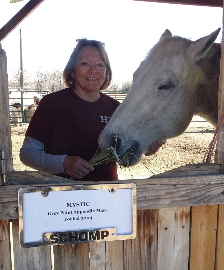 Carrie Maiorano Treasurer