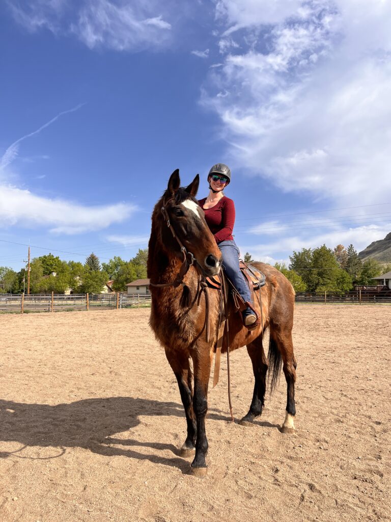 Reggie rideable and adoptable
